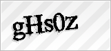 CAPTCHA security code