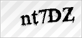 CAPTCHA security code