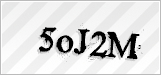 CAPTCHA security code