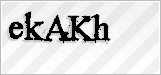 CAPTCHA security code