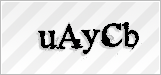 CAPTCHA security code