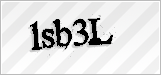 CAPTCHA security code