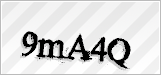 CAPTCHA security code