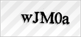 CAPTCHA security code