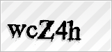 CAPTCHA security code