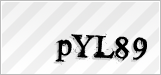 CAPTCHA security code