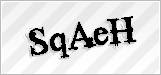 CAPTCHA security code