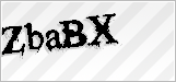 CAPTCHA security code