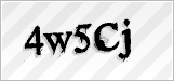 CAPTCHA security code
