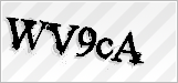 CAPTCHA security code