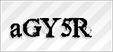 CAPTCHA security code