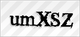 CAPTCHA security code