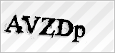CAPTCHA security code