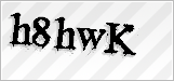 CAPTCHA security code