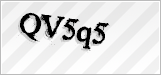 CAPTCHA security code