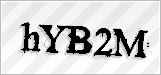 CAPTCHA security code