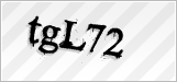 CAPTCHA security code