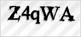 CAPTCHA security code