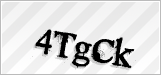 CAPTCHA security code