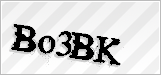 CAPTCHA security code