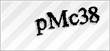 CAPTCHA security code