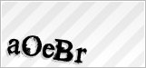 CAPTCHA security code