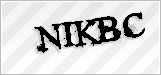 CAPTCHA security code