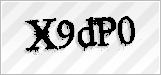 CAPTCHA security code