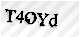 CAPTCHA security code
