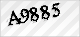CAPTCHA security code