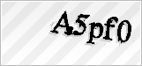 CAPTCHA security code