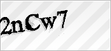 CAPTCHA security code