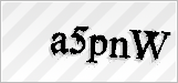 CAPTCHA security code
