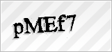 CAPTCHA security code