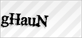 CAPTCHA security code