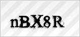 CAPTCHA security code