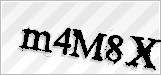 CAPTCHA security code