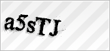 CAPTCHA security code
