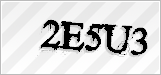 CAPTCHA security code