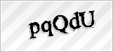 CAPTCHA security code