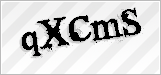 CAPTCHA security code