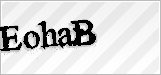 CAPTCHA security code