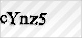 CAPTCHA security code