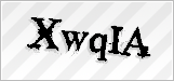 CAPTCHA security code