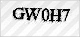 CAPTCHA security code