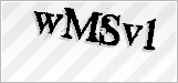 CAPTCHA security code