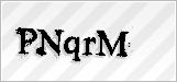 CAPTCHA security code