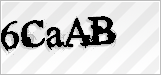 CAPTCHA security code