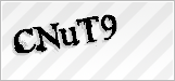 CAPTCHA security code