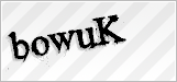 CAPTCHA security code
